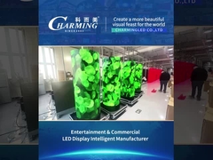 বাণিজ্যিক ডিসপ্লে টাইপ 21