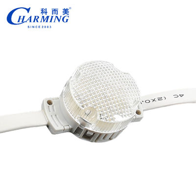 ছুটির বড়দিনের জন্য 1.5W পিক্সেল LED পয়েন্ট লাইট Ip68 আউটডোর Rgb